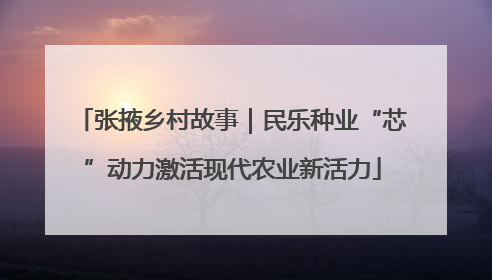 张掖乡村故事｜民乐种业“芯”动力激活现代农业新活力
