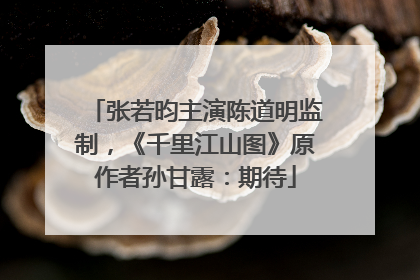 张若昀主演陈道明监制，《千里江山图》原作者孙甘露：期待
