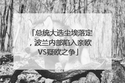 总统大选尘埃落定，波兰内部陷入亲欧VS疑欧之争