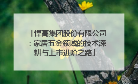 悍高集团股份有限公司：家居五金领域的技术深耕与上市进阶之路