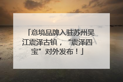 意境品牌入驻苏州吴江震泽古镇，“震泽四宝”对外发布！