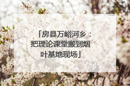 房县万峪河乡：把理论课堂搬到烟叶基地现场