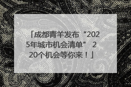成都青羊发布“2025年城市机会清单” 220个机会等你来！