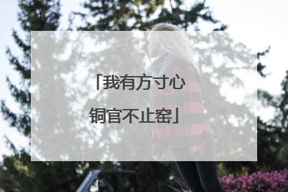 我有方寸心 铜官不止窑