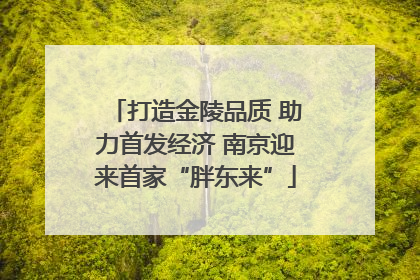 打造金陵品质 助力首发经济 南京迎来首家“胖东来”