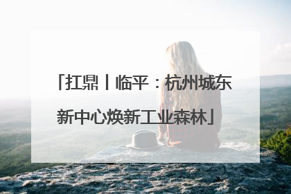扛鼎丨临平：杭州城东新中心焕新工业森林