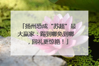 扬州恐成“苏超”最大赢家：踢到哪免到哪，回礼更惊艳！
