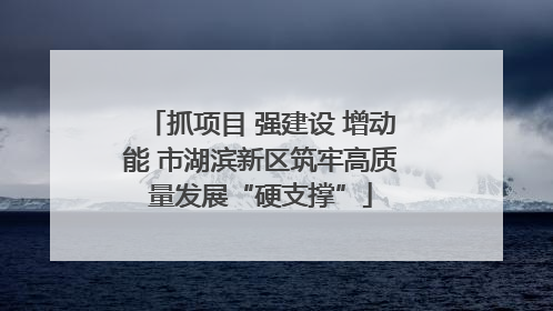 抓项目 强建设 增动能 市湖滨新区筑牢高质量发展“硬支撑”