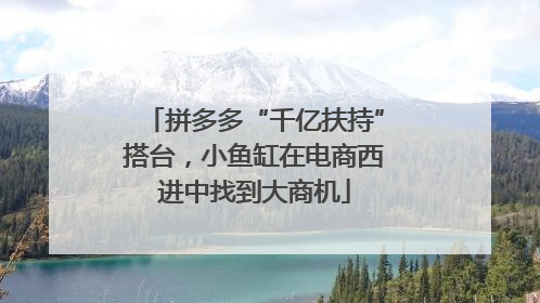 拼多多“千亿扶持”搭台，小鱼缸在电商西进中找到大商机