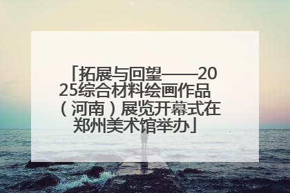 拓展与回望——2025综合材料绘画作品（河南）展览开幕式在郑州美术馆举办