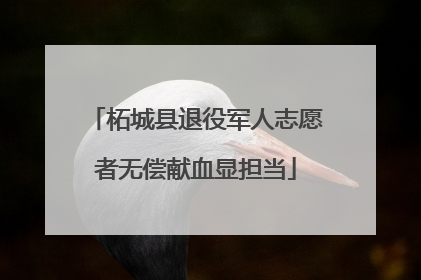 柘城县退役军人志愿者无偿献血显担当
