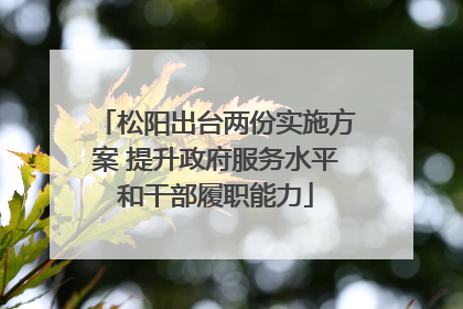 松阳出台两份实施方案 提升政府服务水平和干部履职能力