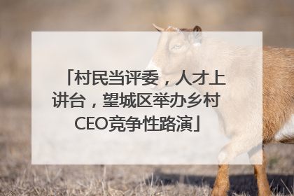 村民当评委，人才上讲台，望城区举办乡村CEO竞争性路演