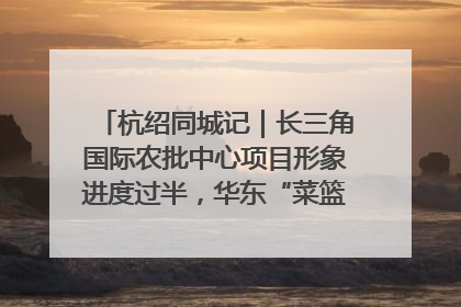 杭绍同城记｜长三角国际农批中心项目形象进度过半，华东“菜篮子”建设加码提速！