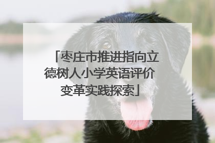枣庄市推进指向立德树人小学英语评价变革实践探索