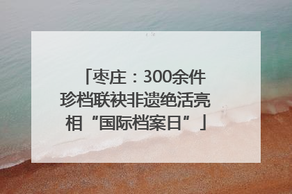 枣庄：300余件珍档联袂非遗绝活亮相“国际档案日”