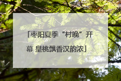 枣阳夏季“村晚”开幕 皇桃飘香汉韵浓