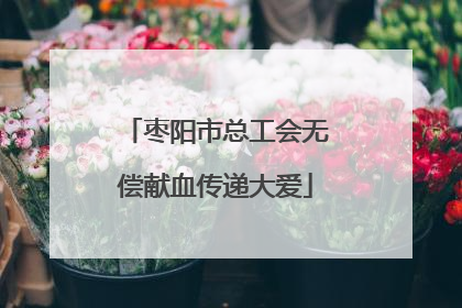 枣阳市总工会无偿献血传递大爱