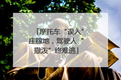 摩托车“误入”庄稼地，驾驶人“撒泼”终难逃