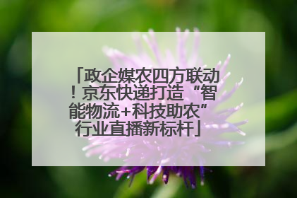 政企媒农四方联动！京东快递打造“智能物流+科技助农”行业直播新标杆