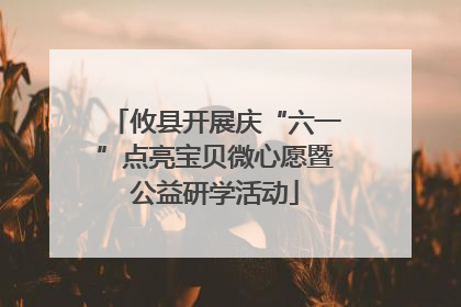 攸县开展庆“六一”点亮宝贝微心愿暨公益研学活动