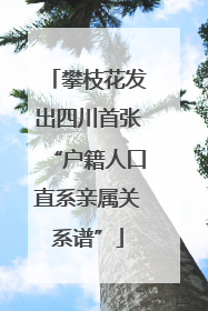 攀枝花发出四川首张“户籍人口直系亲属关系谱”