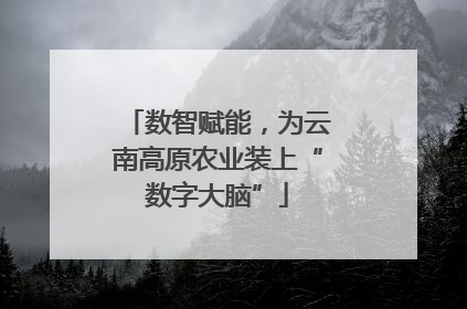数智赋能，为云南高原农业装上“数字大脑”