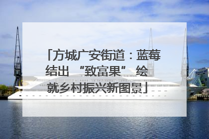 方城广安街道：蓝莓结出 “致富果” 绘就乡村振兴新图景