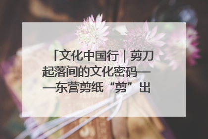 文化中国行｜剪刀起落间的文化密码——东营剪纸“剪”出非遗传承与现代生活的融合之道