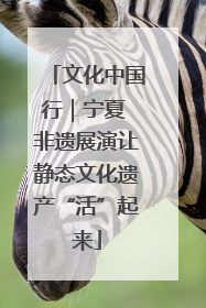 文化中国行｜宁夏 非遗展演让静态文化遗产“活”起来