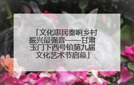 文化惠民奏响乡村振兴最强音——甘肃玉门下西号镇第九届文化艺术节启幕