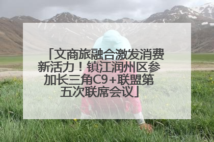 文商旅融合激发消费新活力！镇江润州区参加长三角C9+联盟第五次联席会议