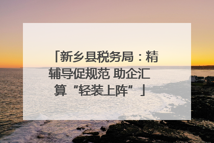 新乡县税务局：精辅导促规范 助企汇算“轻装上阵”
