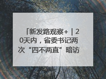 新发路观察+｜20天内，省委书记两次“四不两直”暗访，有何深意？