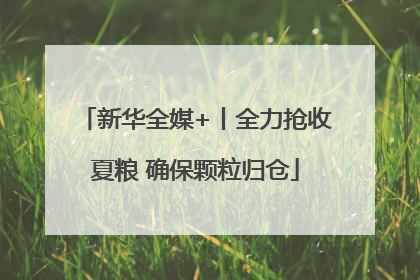 新华全媒+丨全力抢收夏粮 确保颗粒归仓