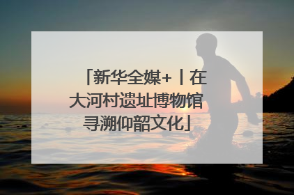 新华全媒+丨在大河村遗址博物馆寻溯仰韶文化