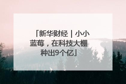 新华财经｜小小蓝莓，在科技大棚种出9个亿