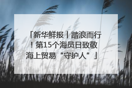 新华鲜报丨踏浪而行！第15个海员日致敬海上贸易“守护人”