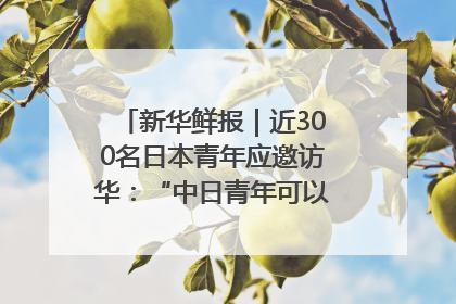 新华鲜报｜近300名日本青年应邀访华：“中日青年可以创造更好的未来”