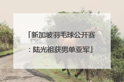 新加坡羽毛球公开赛：陆光祖获男单亚军