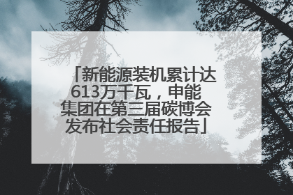 新能源装机累计达613万千瓦，申能集团在第三届碳博会发布社会责任报告