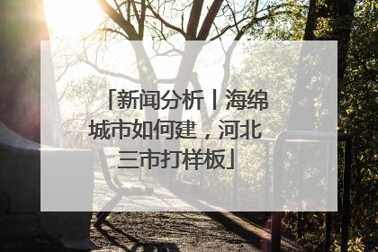 新闻分析丨海绵城市如何建，河北三市打样板
