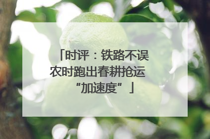 时评：铁路不误农时跑出春耕抢运“加速度”