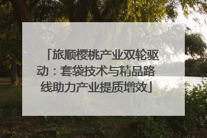 旅顺樱桃产业双轮驱动：套袋技术与精品路线助力产业提质增效