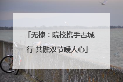 无棣：院校携手古城行 共融双节暖人心