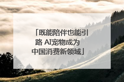 既能陪伴也能引路 AI宠物成为中国消费新领域