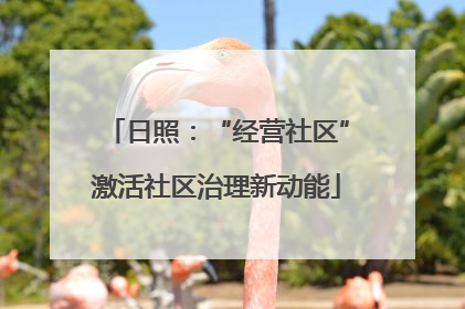 日照：“经营社区”激活社区治理新动能