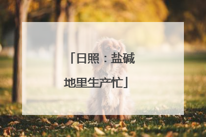 日照：盐碱地里生产忙