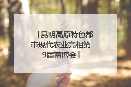 昆明高原特色都市现代农业亮相第9届南博会