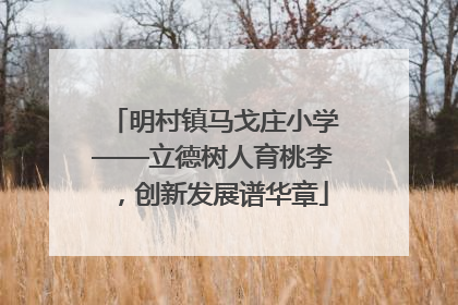 明村镇马戈庄小学——立德树人育桃李，创新发展谱华章